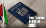 How to Get Professional Levels of Jobs in UAE